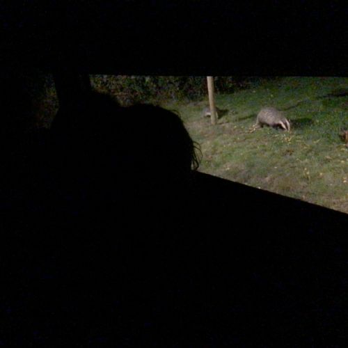 IMG_0238.jpeg